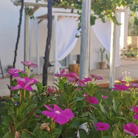 Torre Vecchia Relais Lantställe *