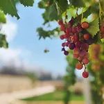 Torre Vecchia Relais Ugento